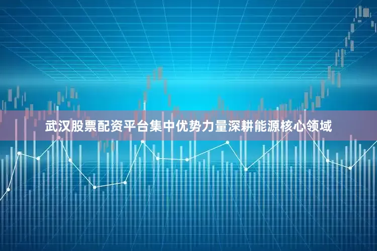 武汉股票配资平台集中优势力量深耕能源核心领域